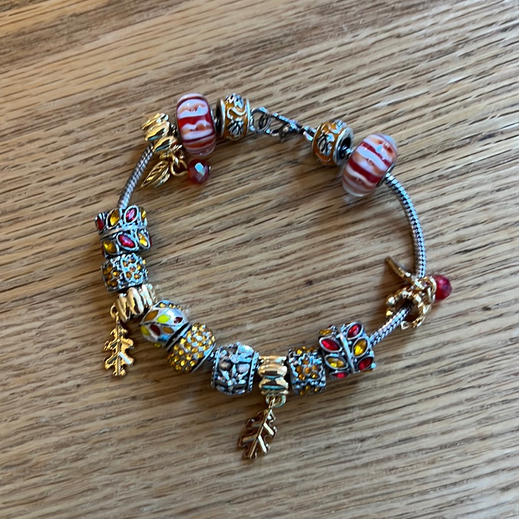 Costume Bracelet With Beads That Represent Fall 15$